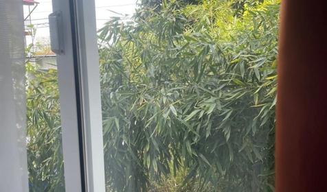 Двухместный эконом