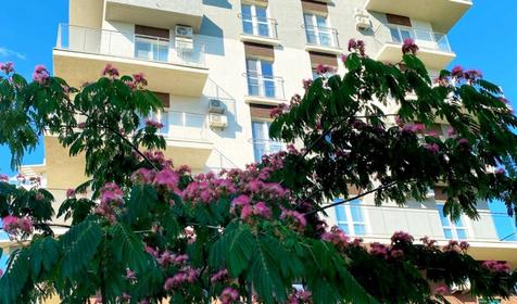 Анапа отдых мечты "Anapa Dream"