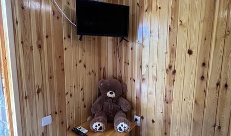 Двухместный стандарт