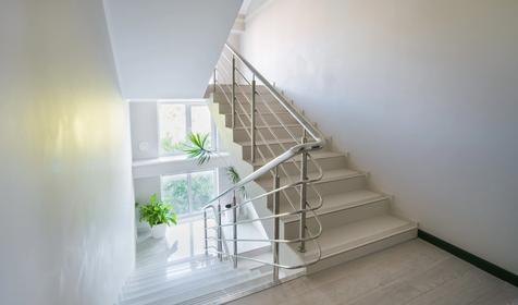 Абрикос Плюс