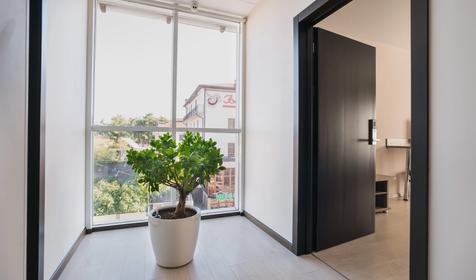 Абрикос Плюс