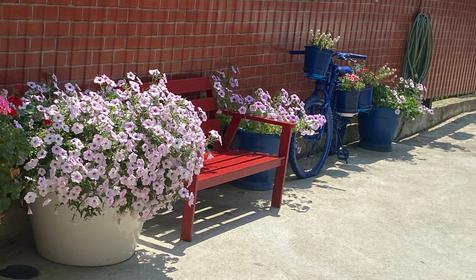 Гостевой дом Марианна, г. Сочи, пос. Лоо