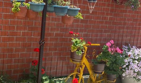 Апартаменты