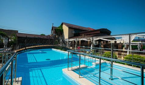 Анютины глазки