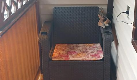 Трехместный