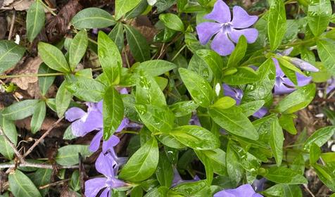 Затерянный рай