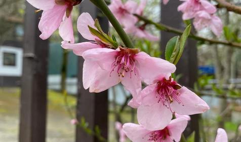 Затерянный рай