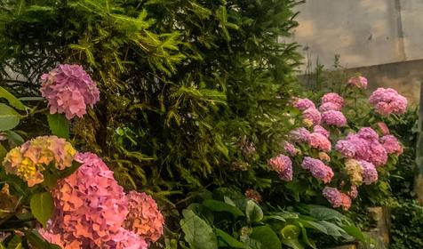 Marianna (Марианна)