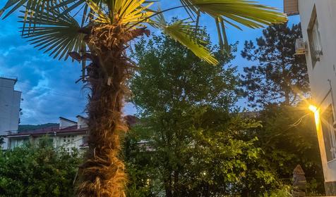 Marianna (Марианна)