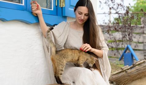 Поехали к бабушке