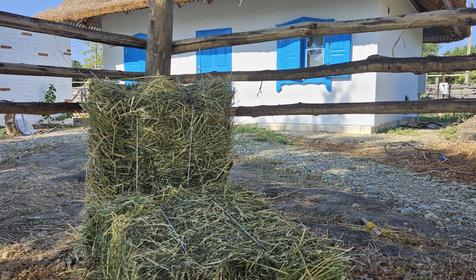  Поехали к бабушке