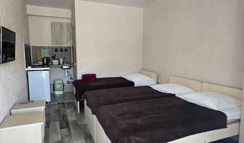 Студия с кухней (3 места)