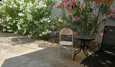 Аполлинария