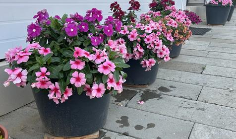 База отдыха ВОЛНА, Веселовка