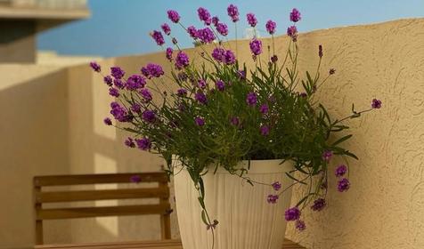 КЛАССИЧЕСКАЯ 2-КОМНАТНАЯ КВАРТИРА С ВИДОМ на море и горы