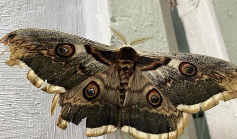 Затерянный рай