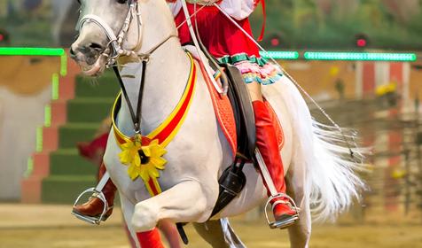 Экстрим-шоу "Кубанская Пленница" на "АРЕНЕ КОЛИЗЕЙ"