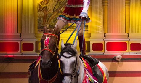 Экстрим-шоу "Кубанская Пленница" на "АРЕНЕ КОЛИЗЕЙ"