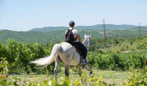 Конные прогулки "Тропами Амамзонок Боспорского царства" на "АРЕНЕ КОЛИЗЕЙ"