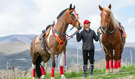 Конные прогулки "Тропами Амамзонок Боспорского царства" на "АРЕНЕ КОЛИЗЕЙ"