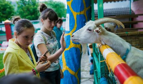 Аттракцион Парк "АРЕНЫ КОЛИЗЕЙ"