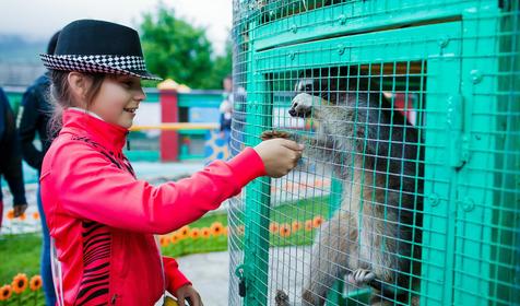 Аттракцион Парк "АРЕНЫ КОЛИЗЕЙ"