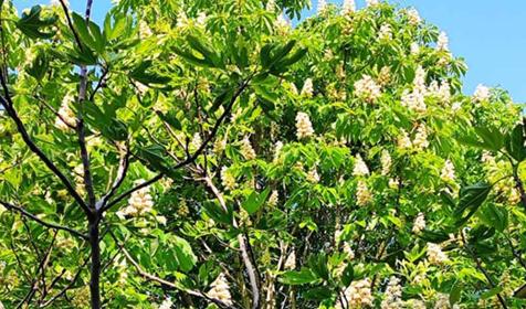 Пансионат Звездный. Новороссийск, Абрау-Дюрсо