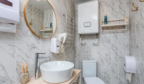 Полулюкс "Франция-Париж"