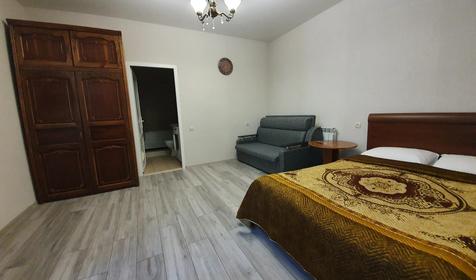 Большая комната с кухней