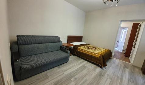 Большая комната с кухней