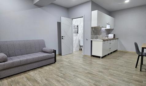 Двухкомнатный люкс с кухней