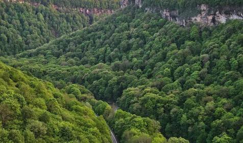 У пруда от Травел Хотелс Антураж