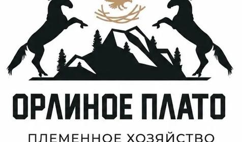 Орлиное Плато, Горячий Ключ