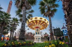 Сочи Парк признан лучшим тематическим парком страны